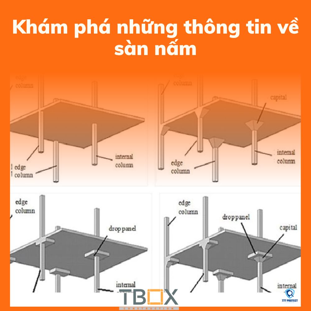 Khám phá những thông tin về sàn nấm
