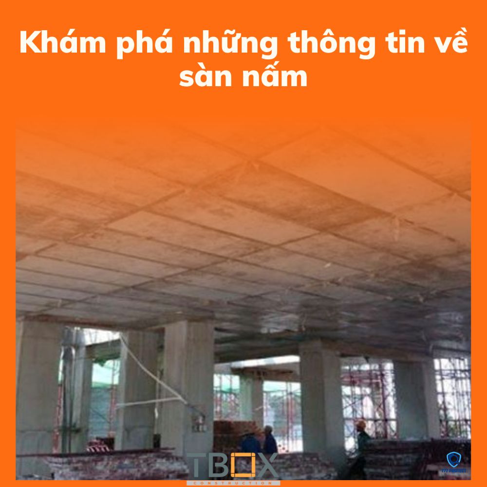 Khám phá những thông tin về sàn nấm
