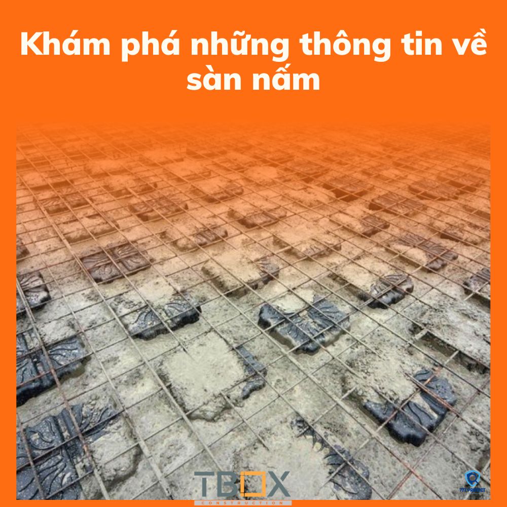 Khám phá những thông tin về sàn nấm
