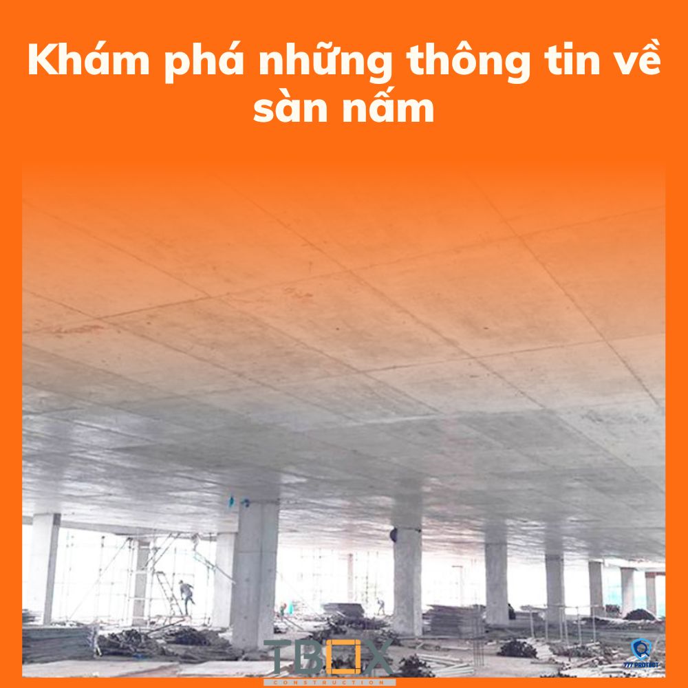 Khám phá những thông tin về sàn nấm
