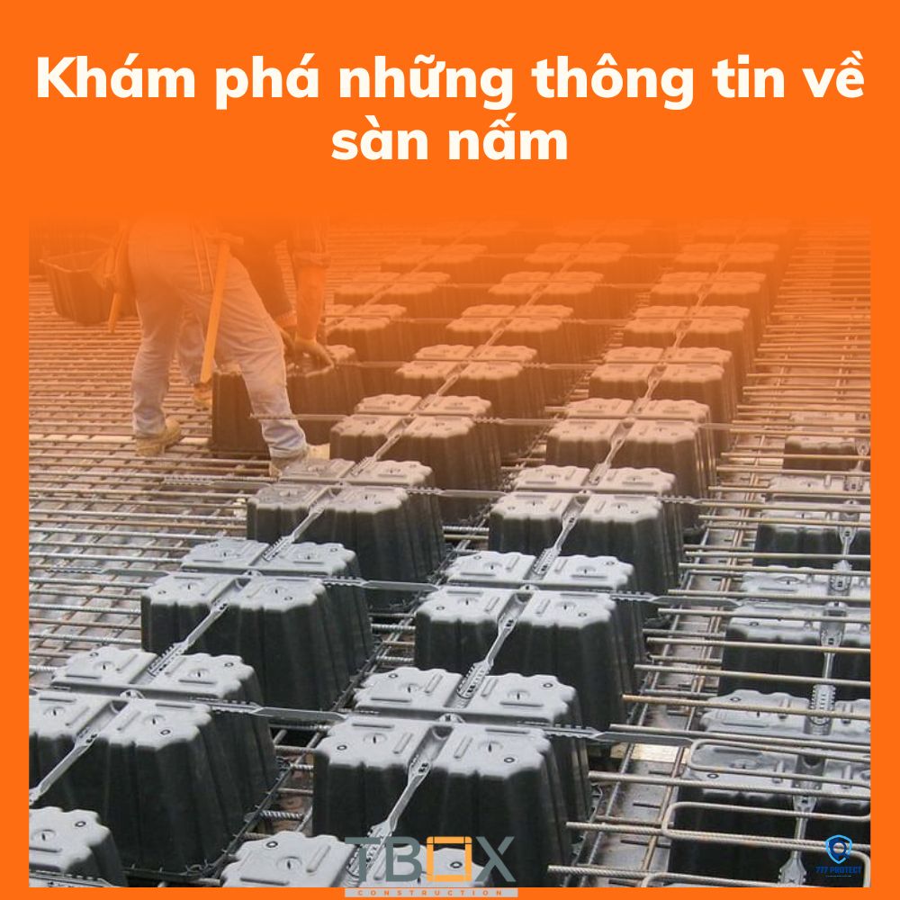 Khám phá những thông tin về sàn nấm
